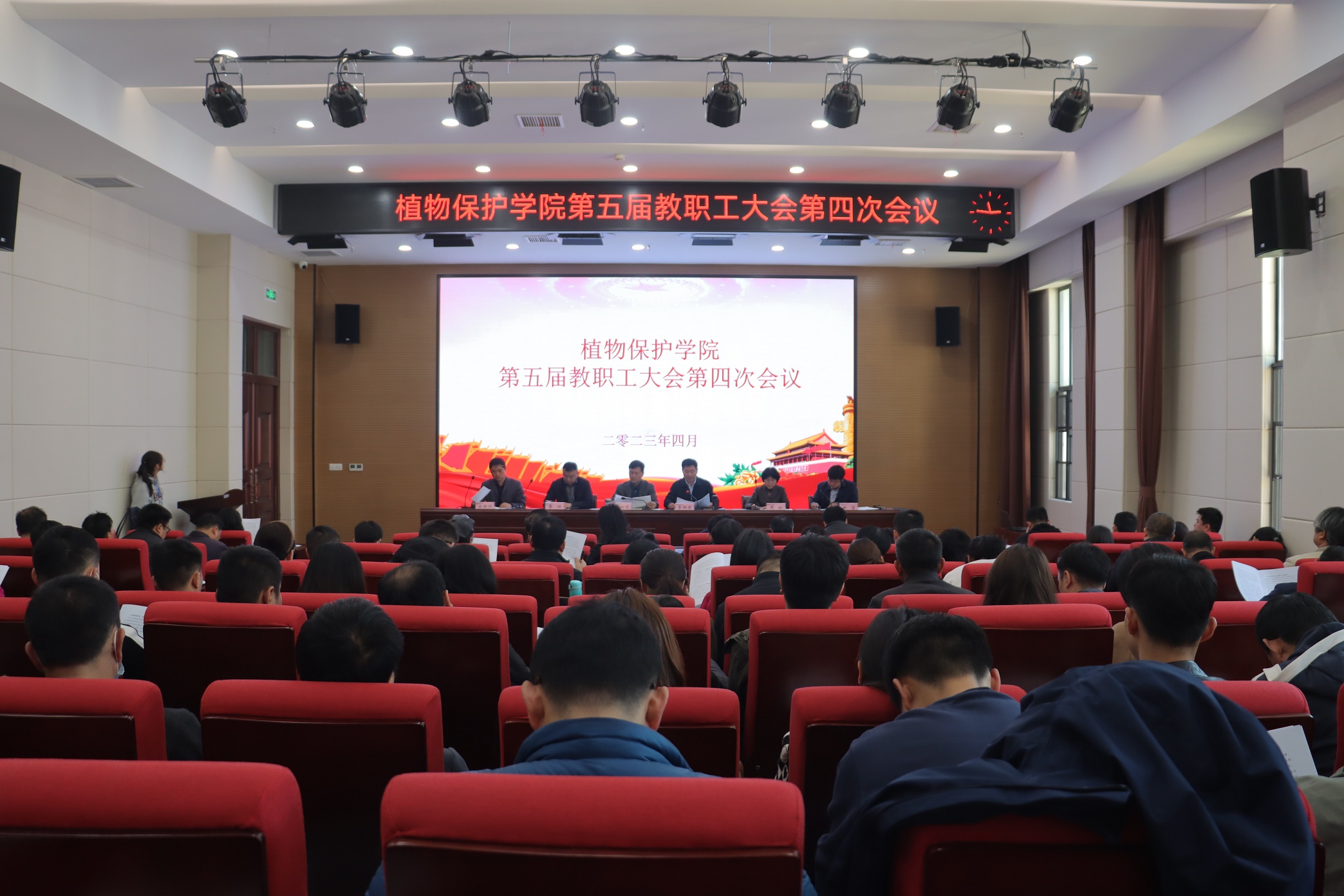 ���ߵ����˿��ֽ�