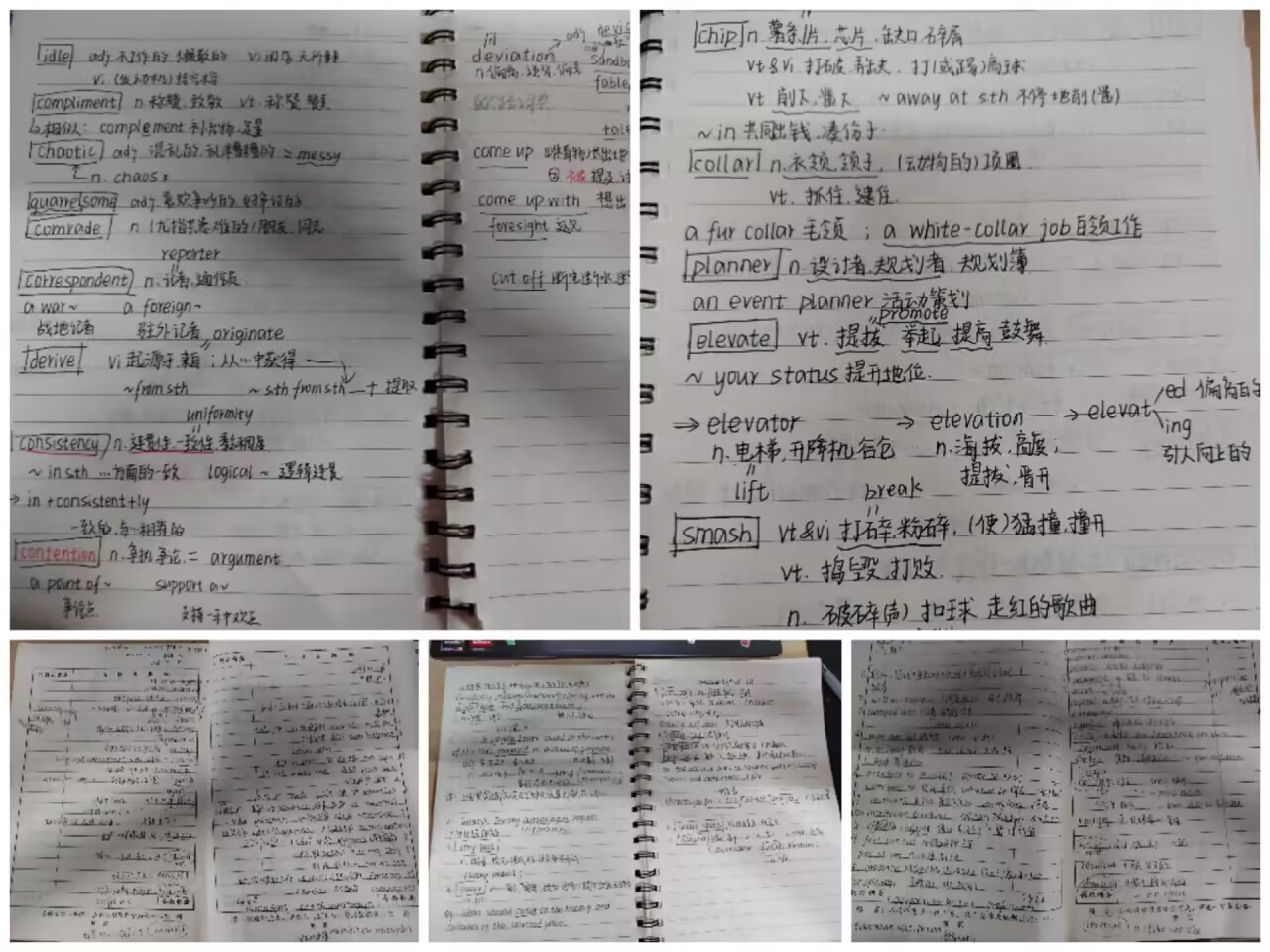 ���ߵ����˿��ֽ�