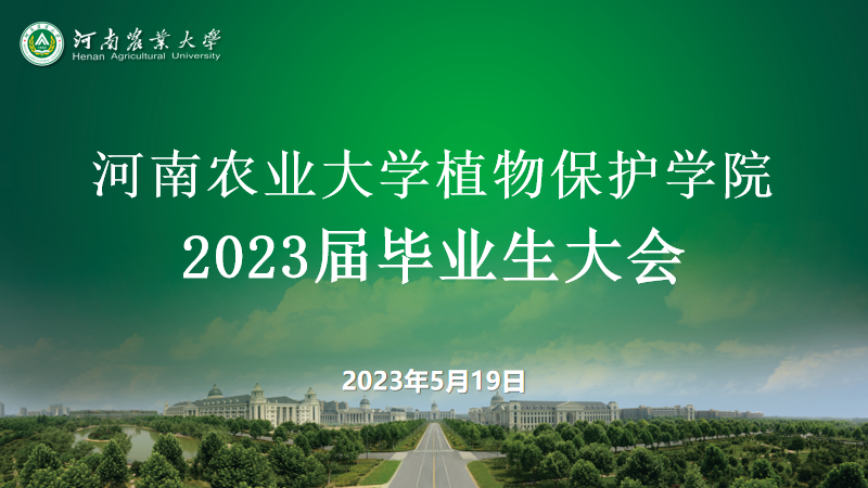 ���ߵ����˿��ֽ�