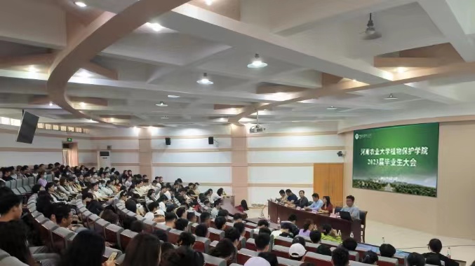 ���ߵ����˿��ֽ�