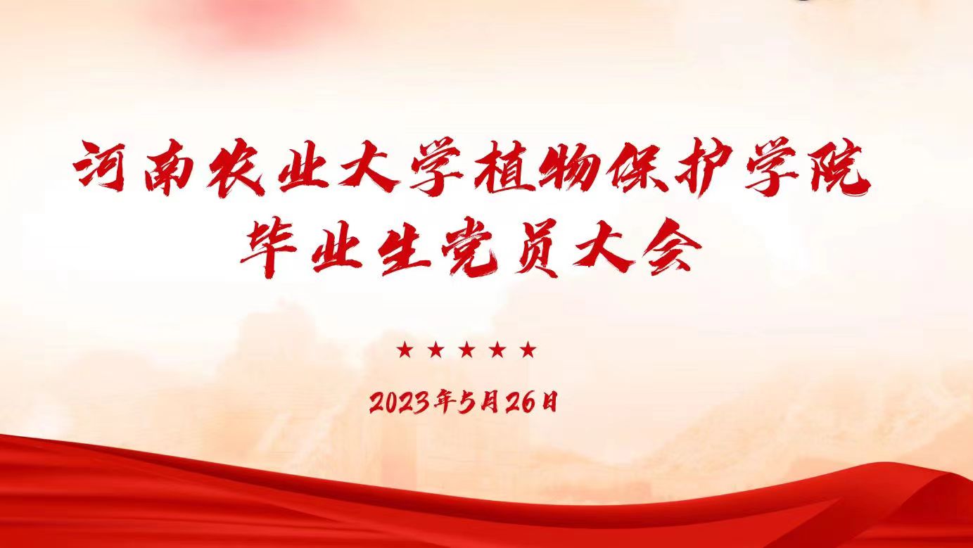 ���ߵ����˿��ֽ�