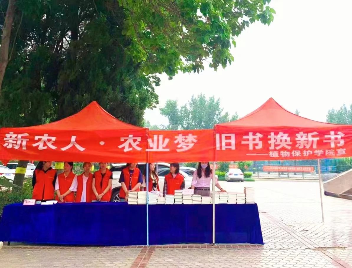 ���ߵ����˿��ֽ�