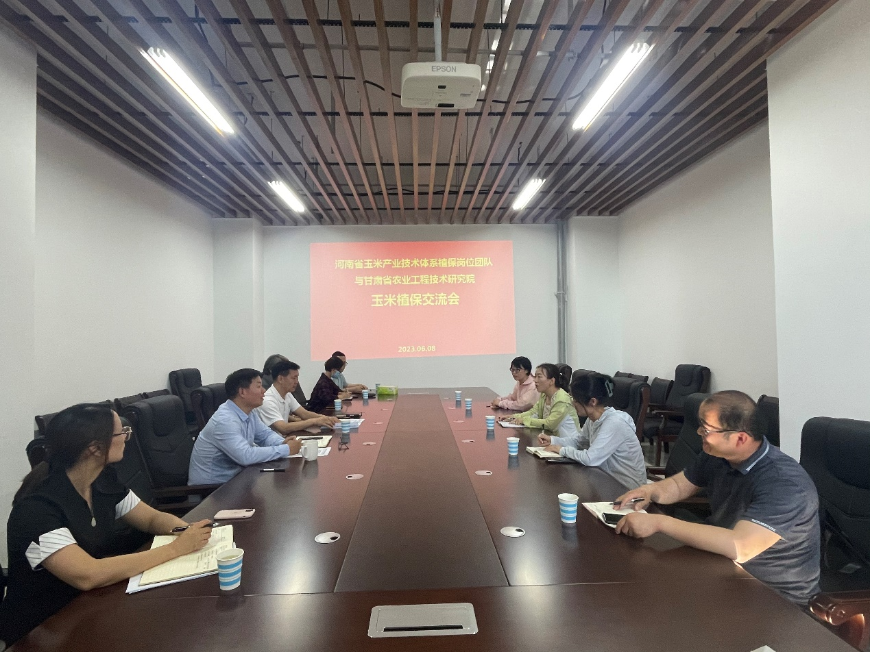 ���ߵ����˿��ֽ�