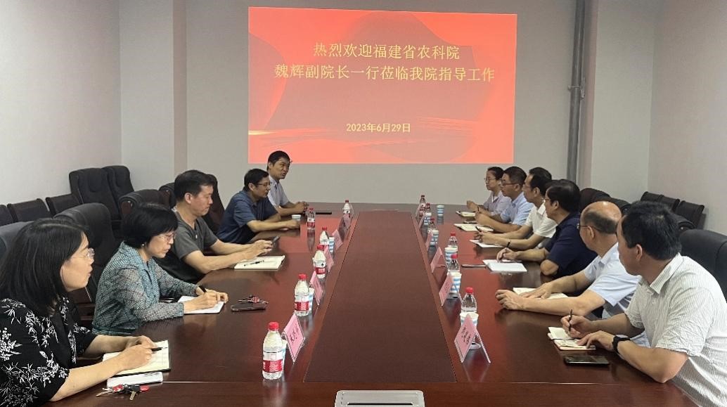 ���ߵ����˿��ֽ�