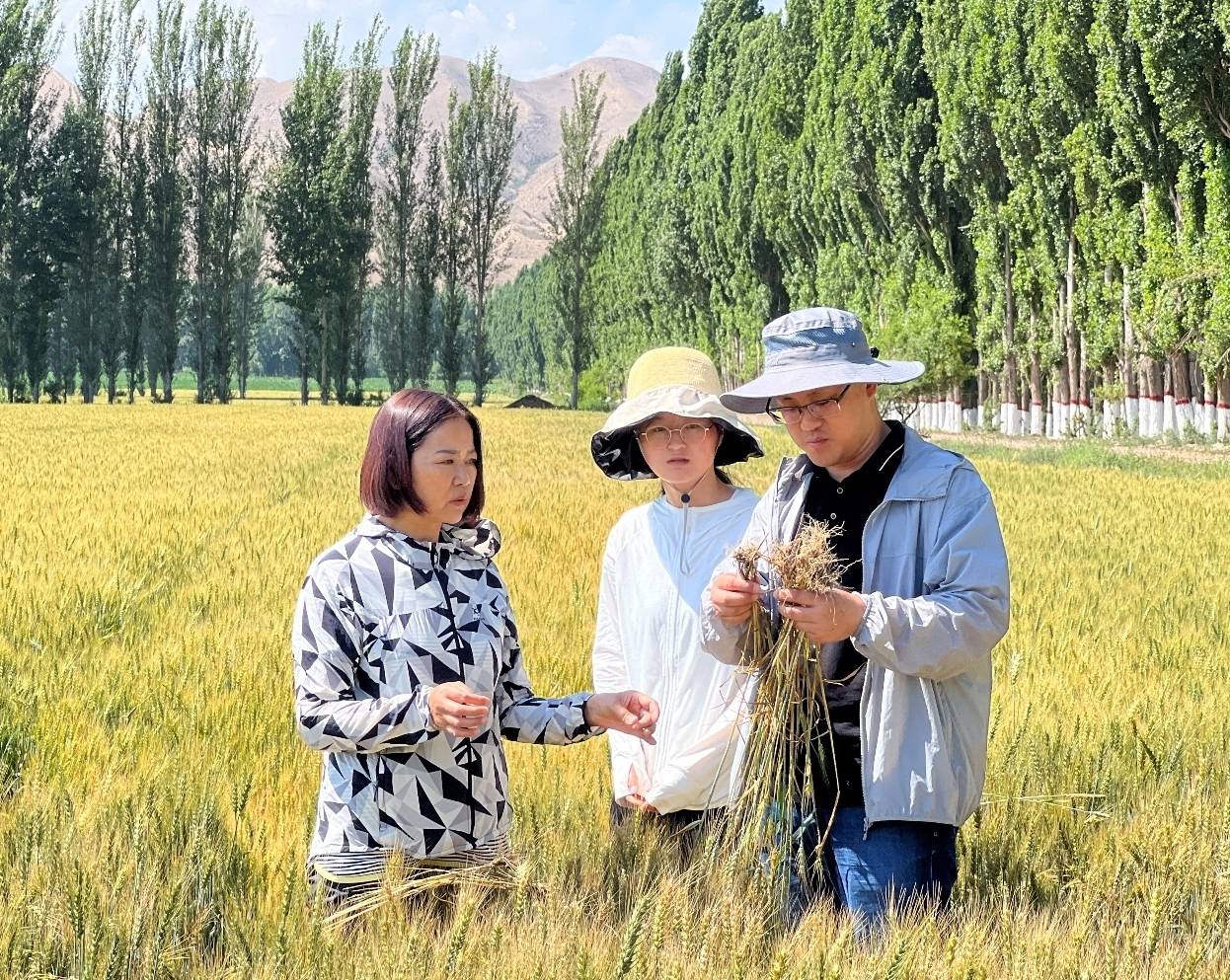 ���ߵ����˿��ֽ�