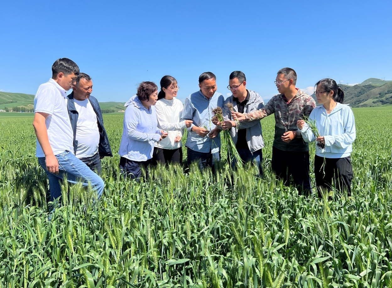 ���ߵ����˿��ֽ�