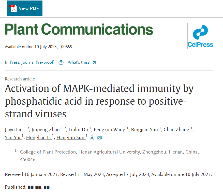 ���ߵ����˿��ֽ�