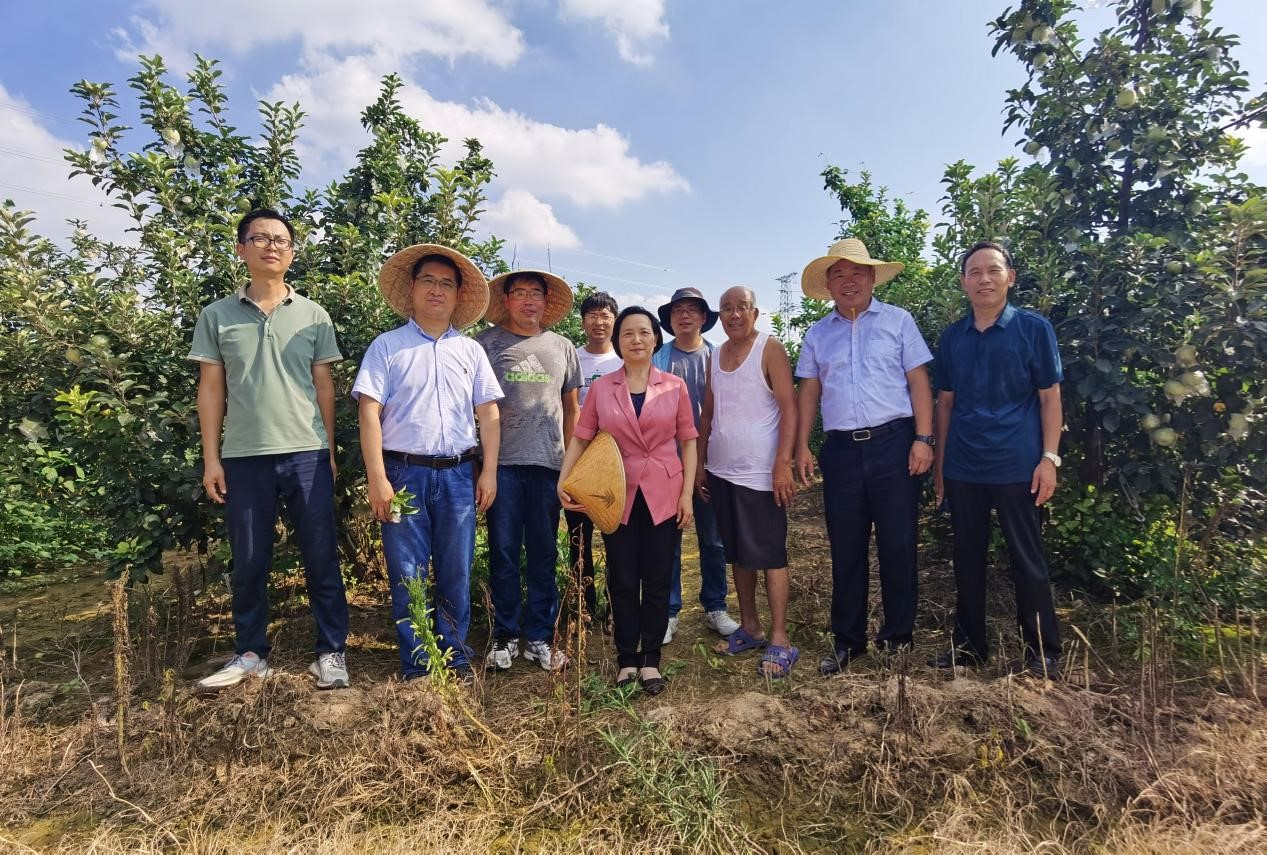 ���ߵ����˿��ֽ�