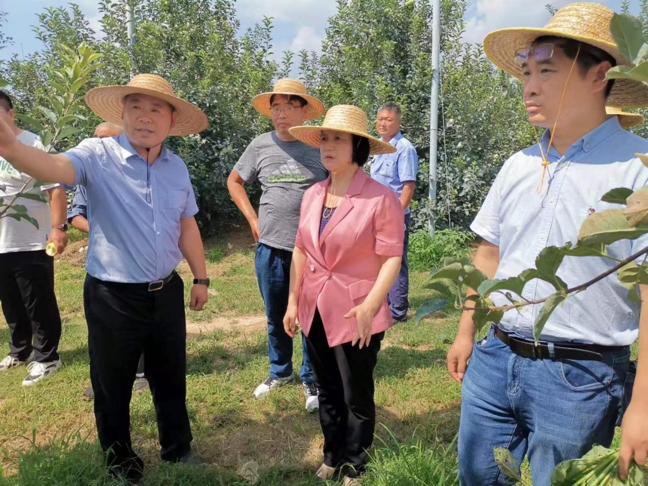 ���ߵ����˿��ֽ�