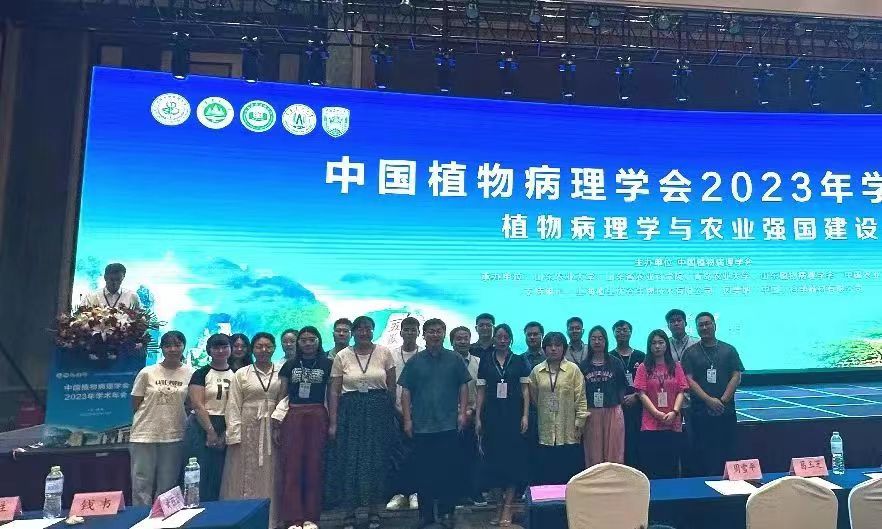 ���ߵ����˿��ֽ�