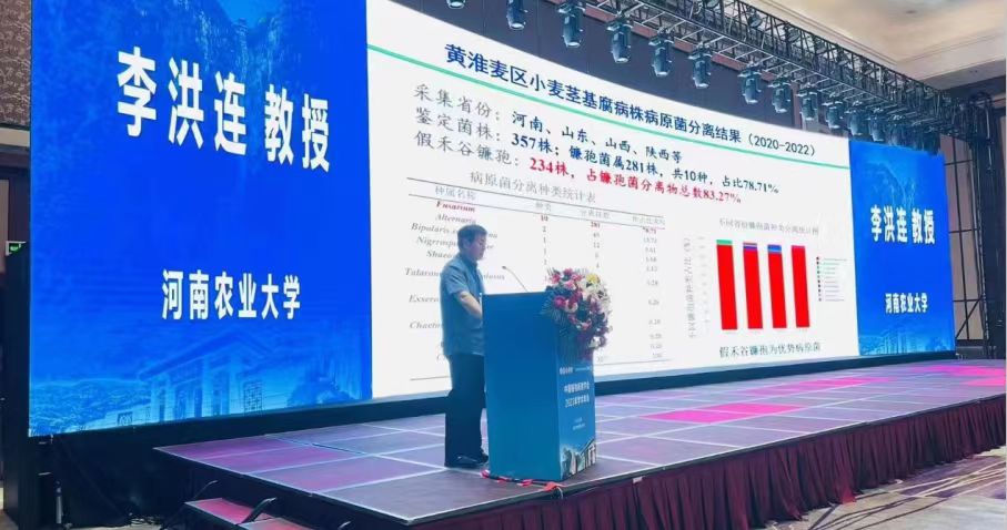 ���ߵ����˿��ֽ�