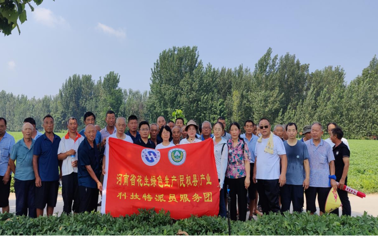 ���ߵ����˿��ֽ�