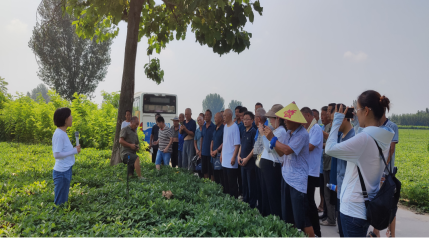 ���ߵ����˿��ֽ�