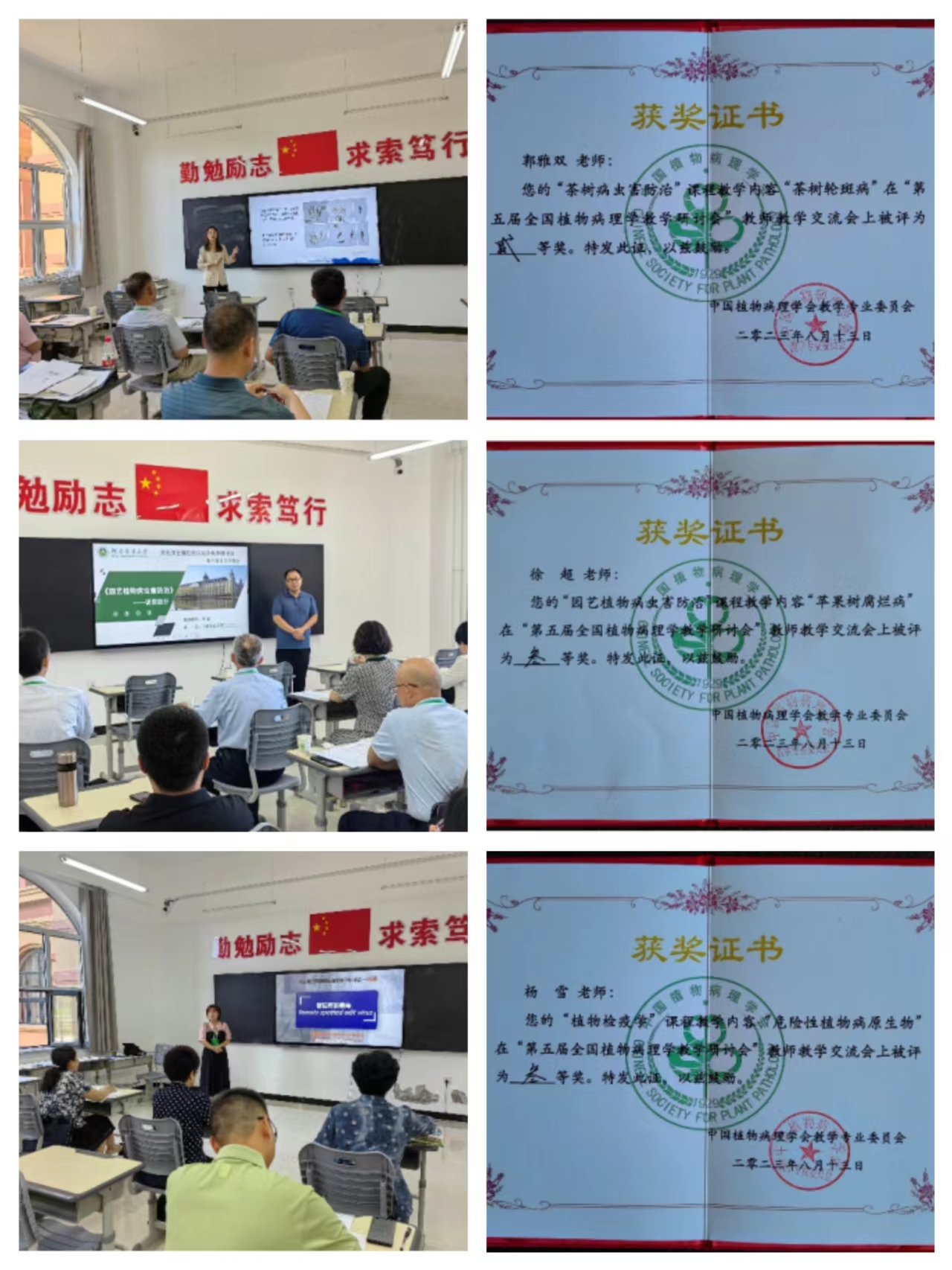 ���ߵ����˿��ֽ�