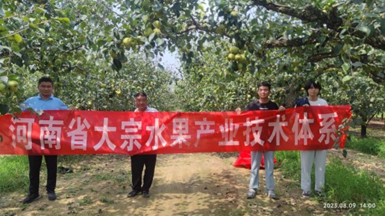 ���ߵ����˿��ֽ�