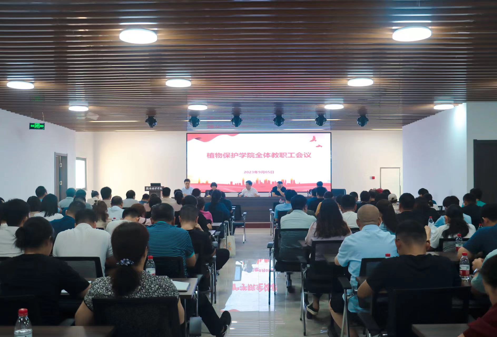 ���ߵ����˿��ֽ�