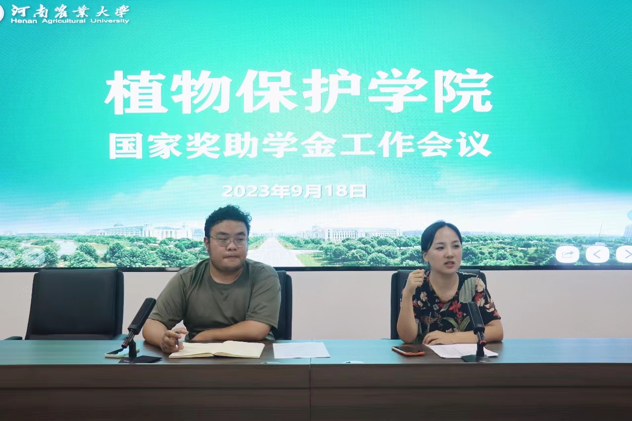 ���ߵ����˿��ֽ�