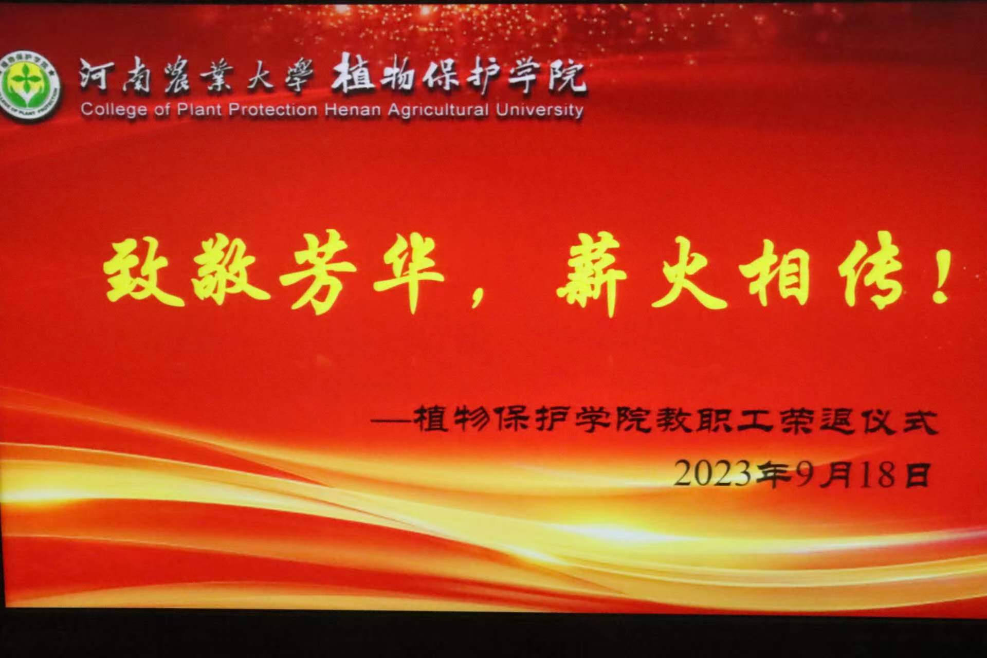 ���ߵ����˿��ֽ�