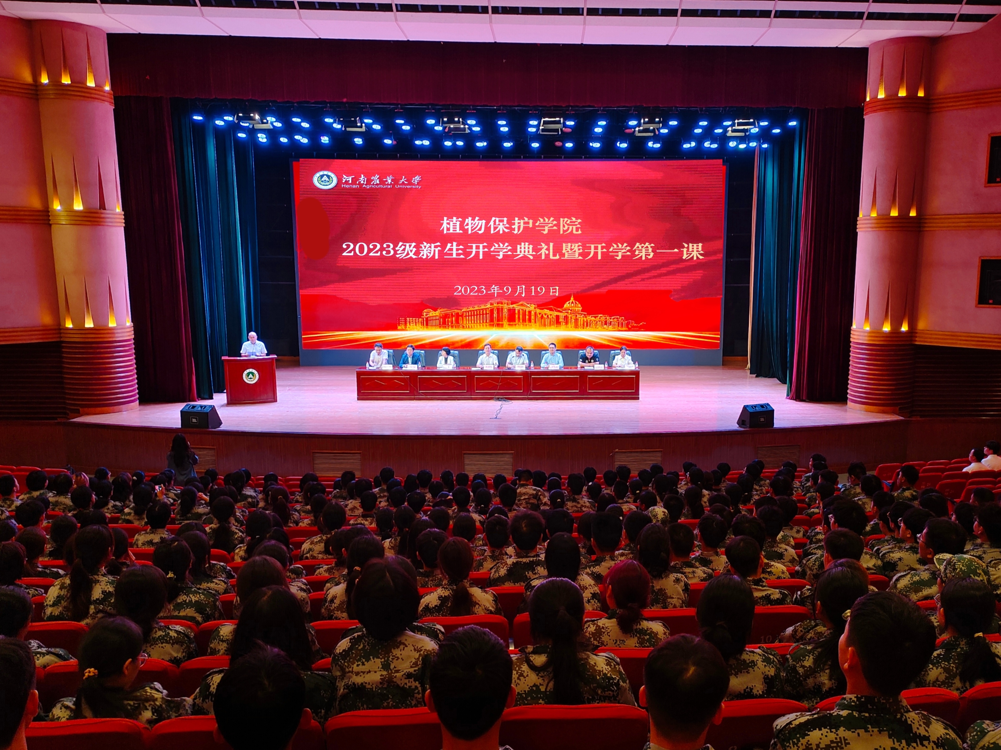 ���ߵ����˿��ֽ�