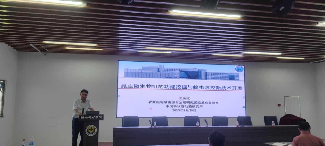 ���ߵ����˿��ֽ�