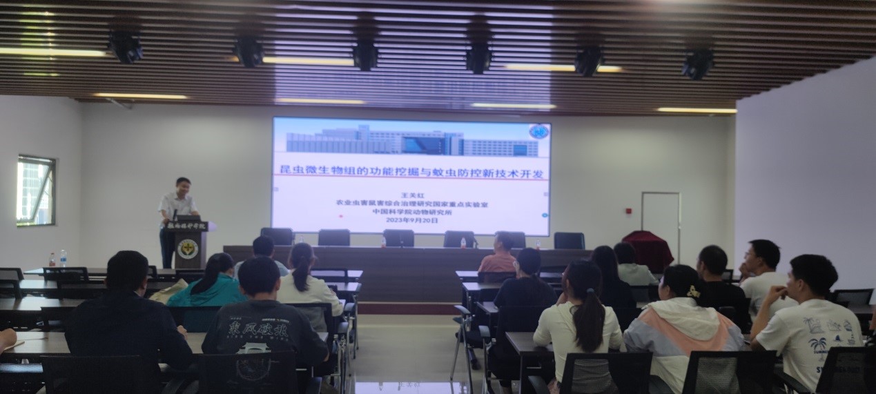 ���ߵ����˿��ֽ�