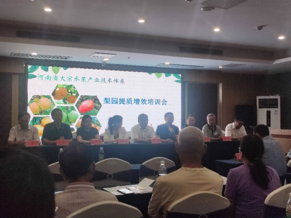 ���ߵ����˿��ֽ�