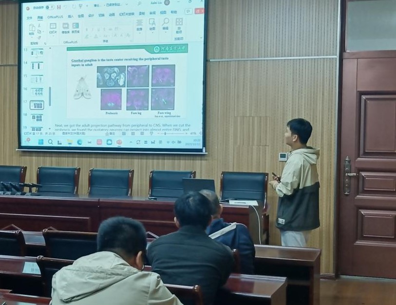 ���ߵ����˿��ֽ�