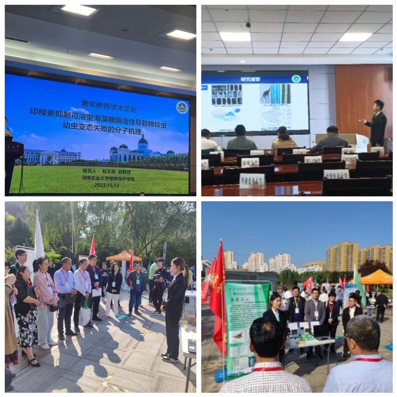 ���ߵ����˿��ֽ�