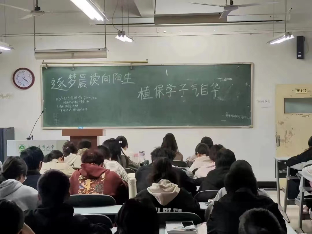 ���ߵ����˿��ֽ�