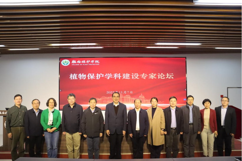 ���ߵ����˿��ֽ�