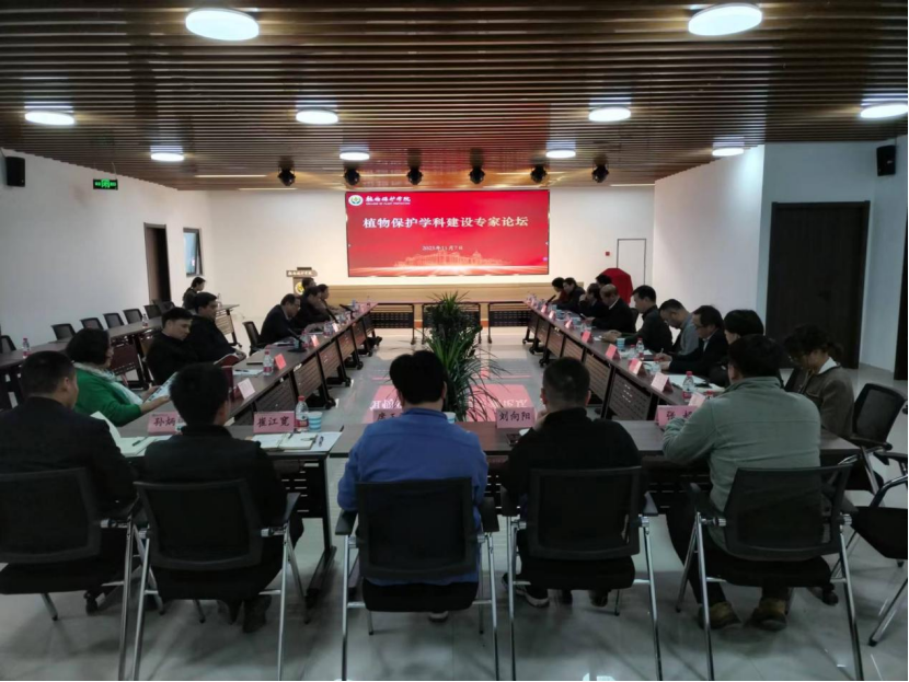 ���ߵ����˿��ֽ�