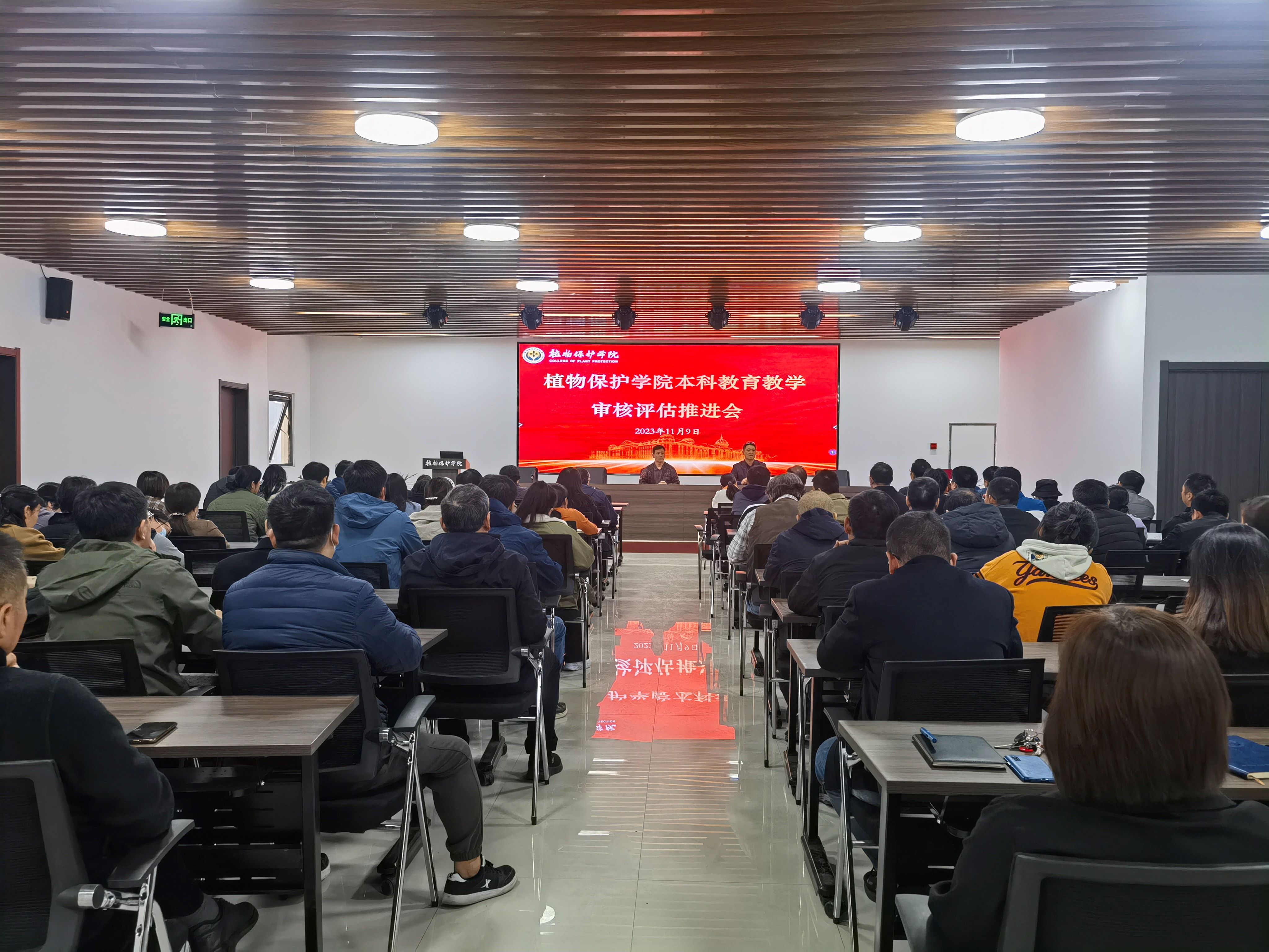 ���ߵ����˿��ֽ�