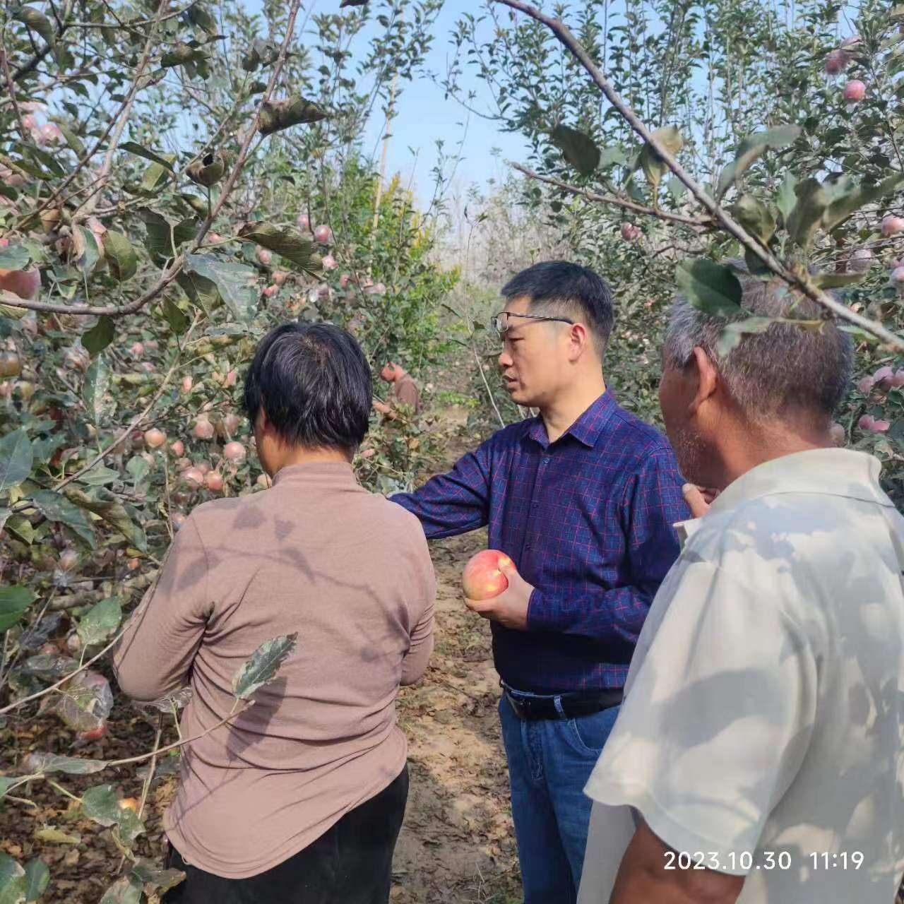 ���ߵ����˿��ֽ�