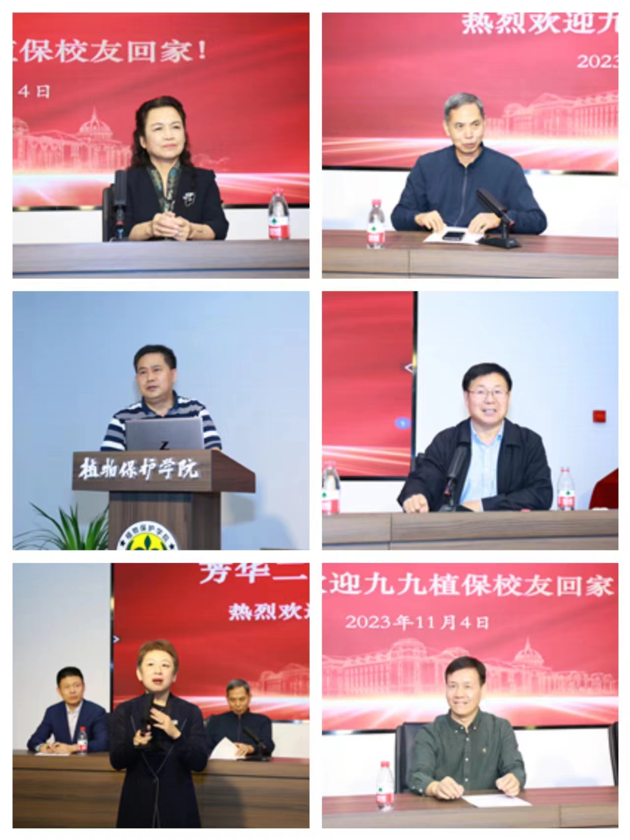 ���ߵ����˿��ֽ�