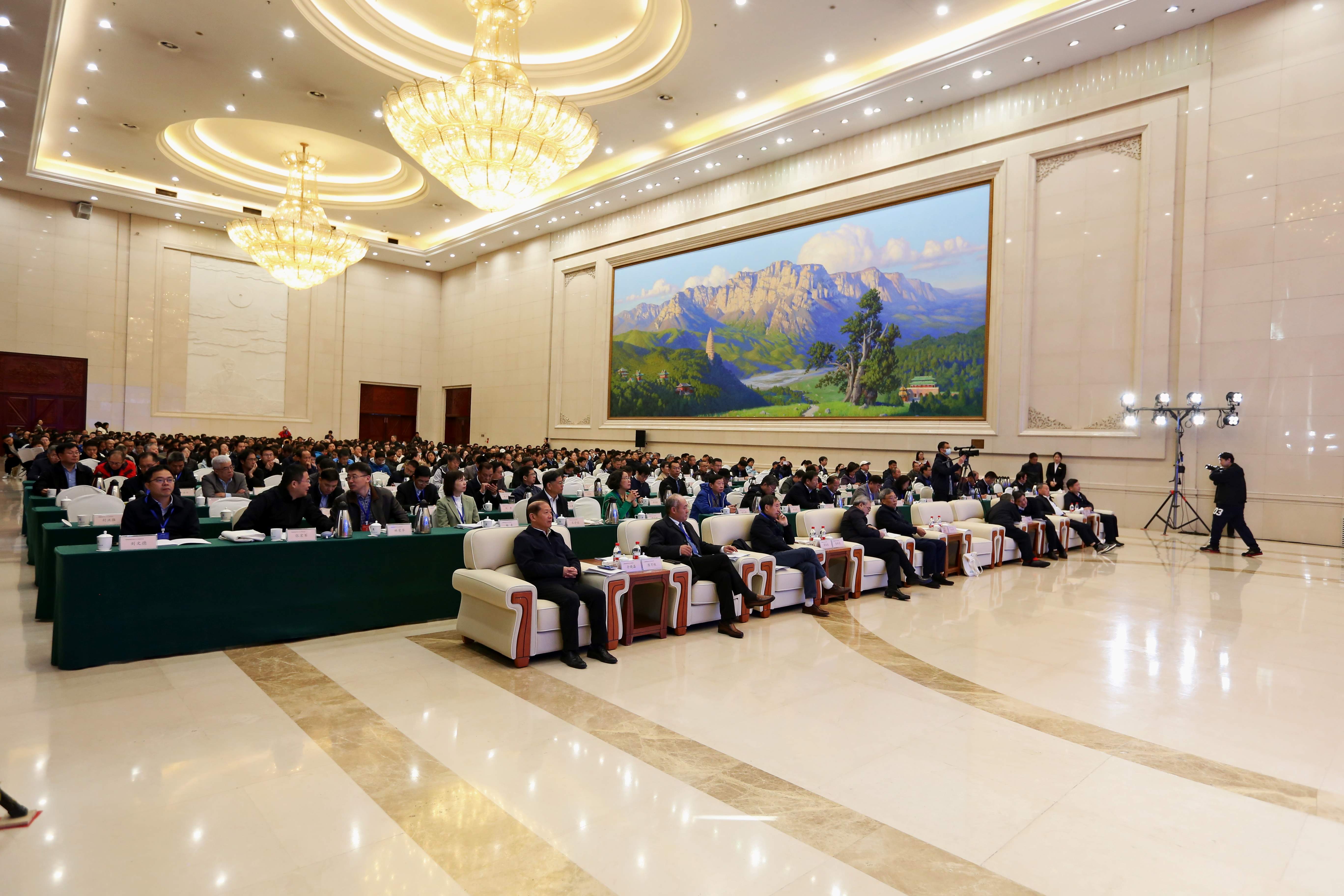 ���ߵ����˿��ֽ�