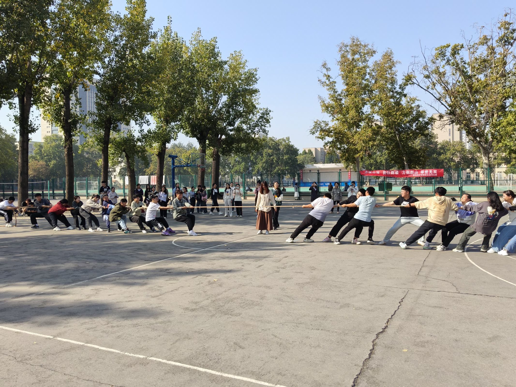 ���ߵ����˿��ֽ�