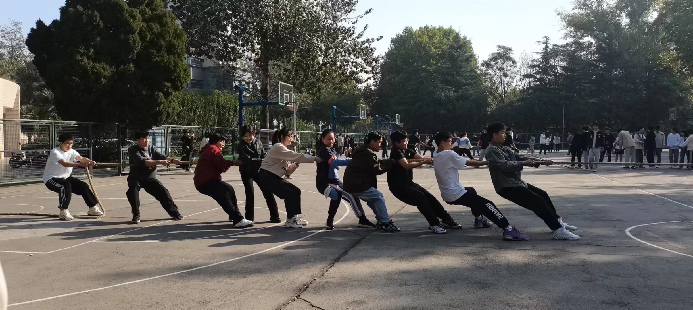 ���ߵ����˿��ֽ�