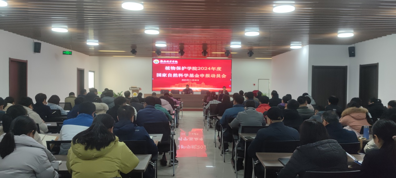 ���ߵ����˿��ֽ�