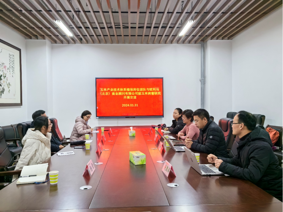 在线德州扑克现金