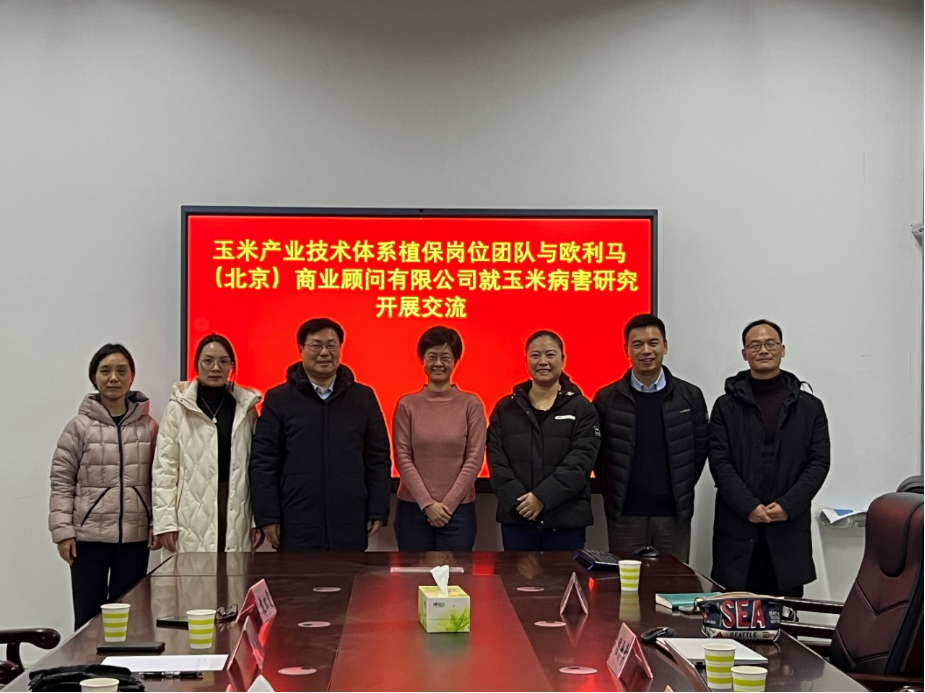 在线德州扑克现金