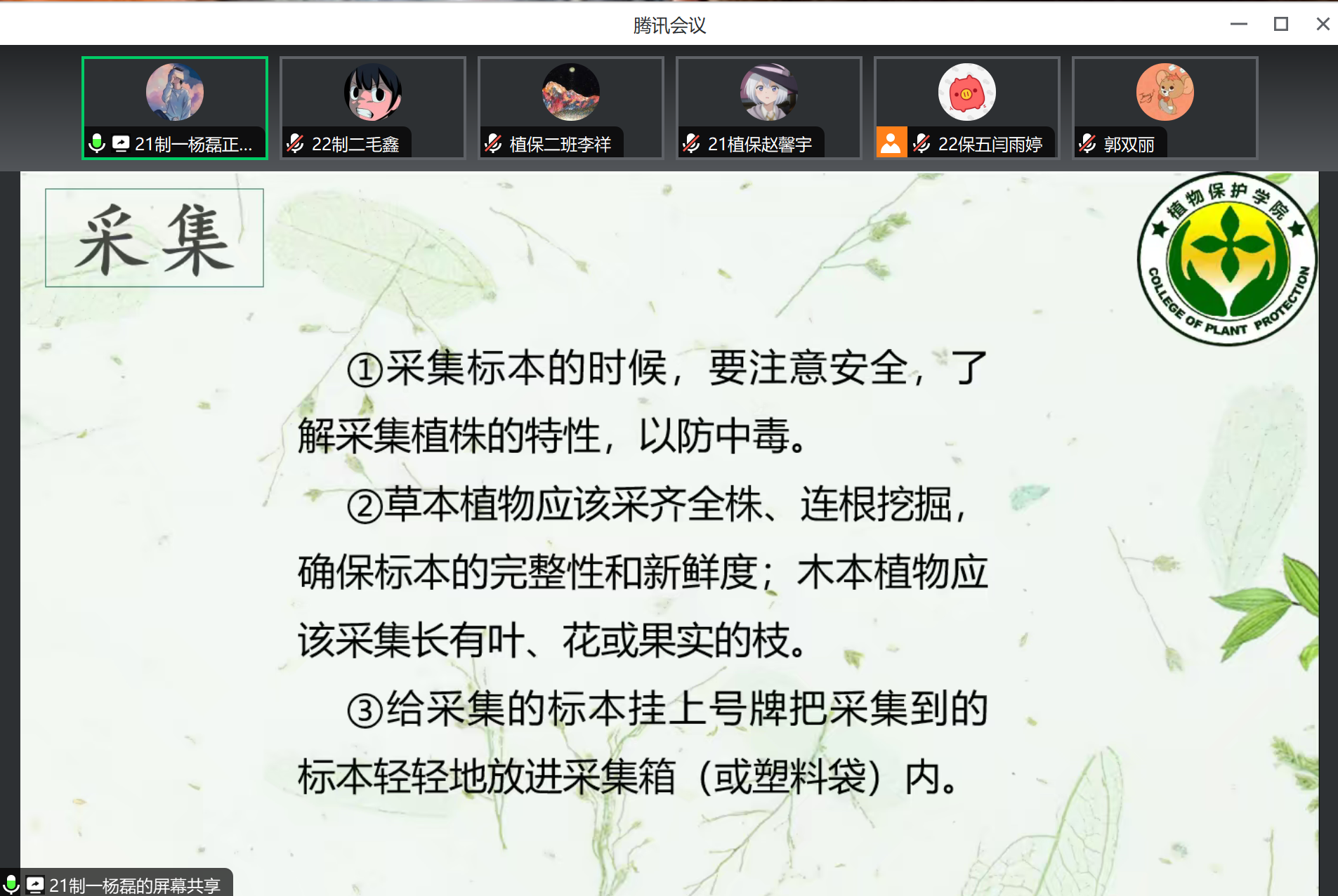 ���ߵ����˿��ֽ�