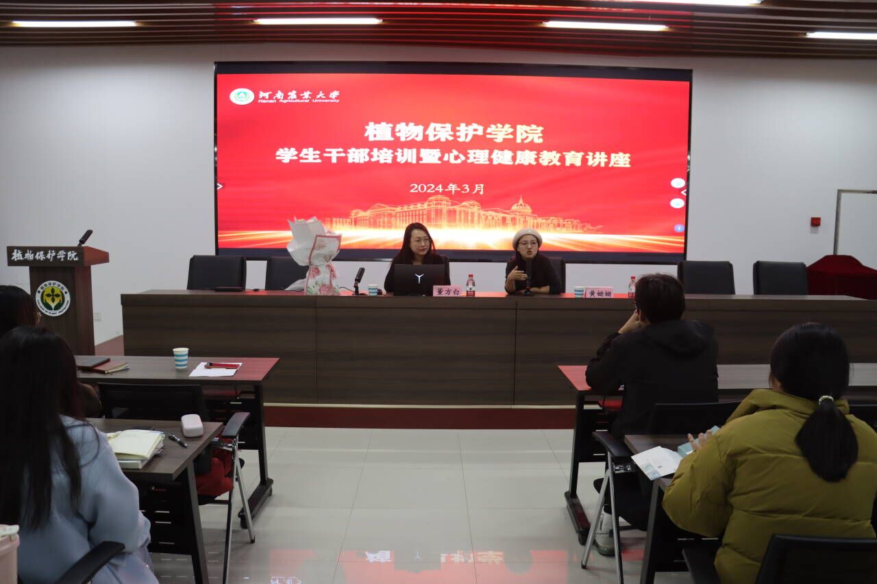 ���ߵ����˿��ֽ�