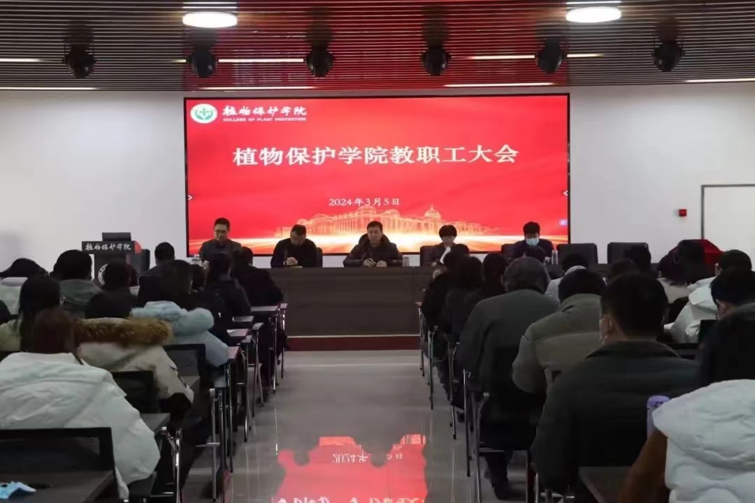 在线德州扑克现金