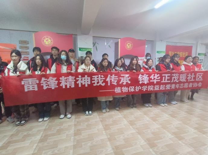 ���ߵ����˿��ֽ�