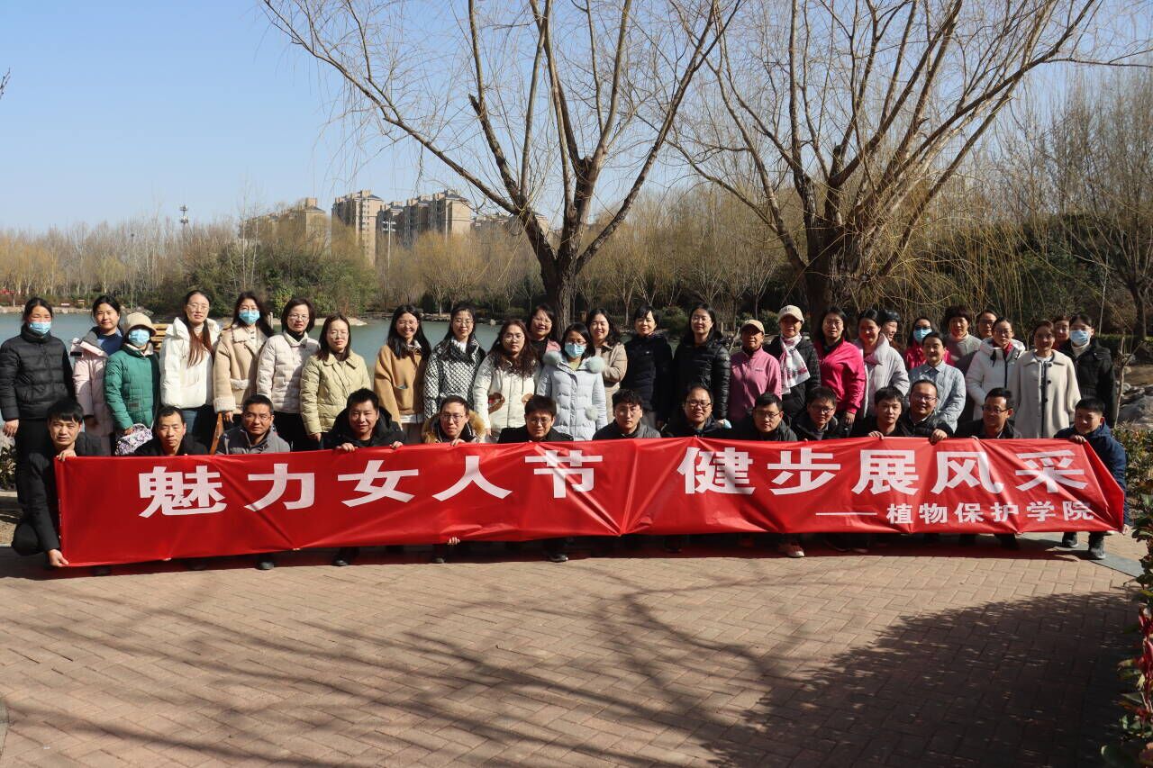 ���ߵ����˿��ֽ�