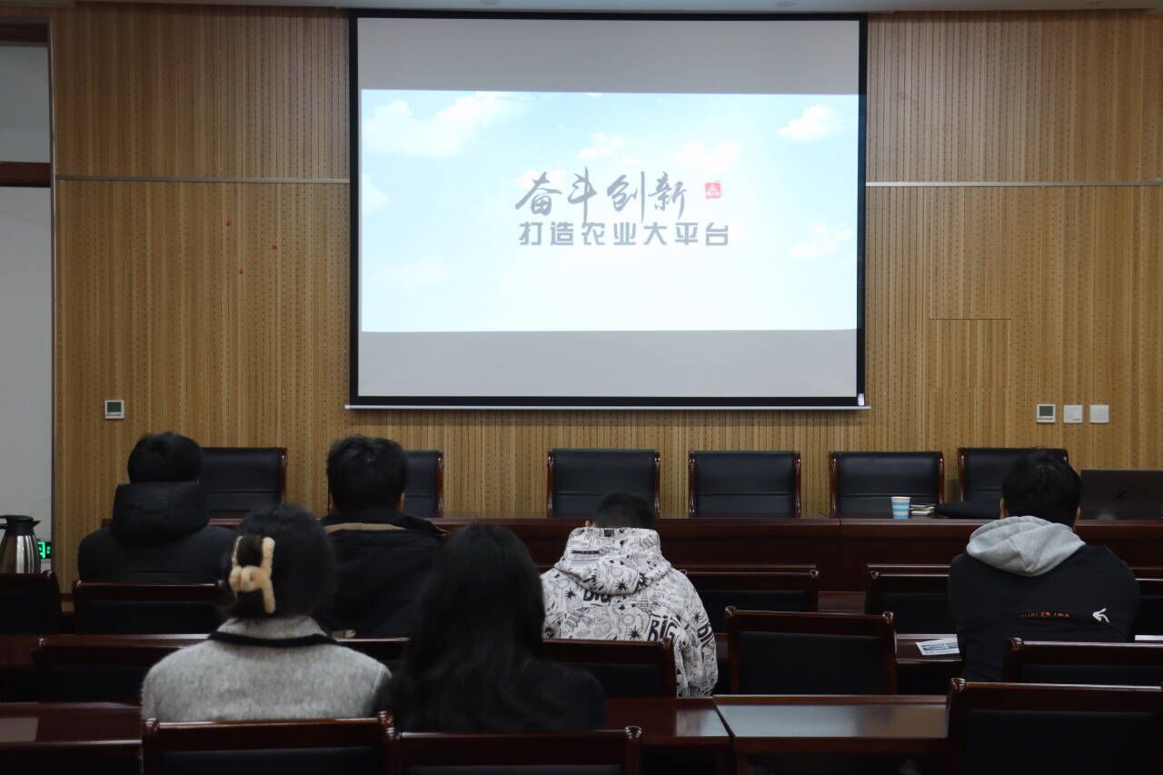 ���ߵ����˿��ֽ�