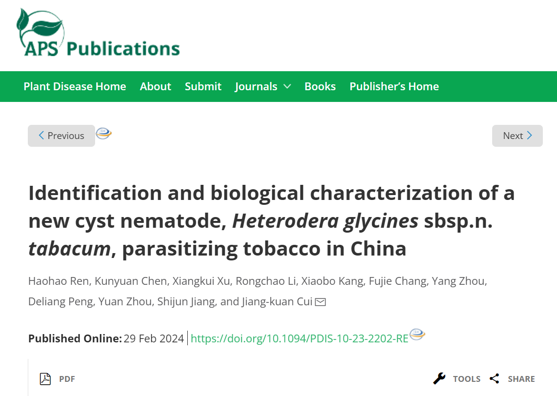 ���ߵ����˿��ֽ�