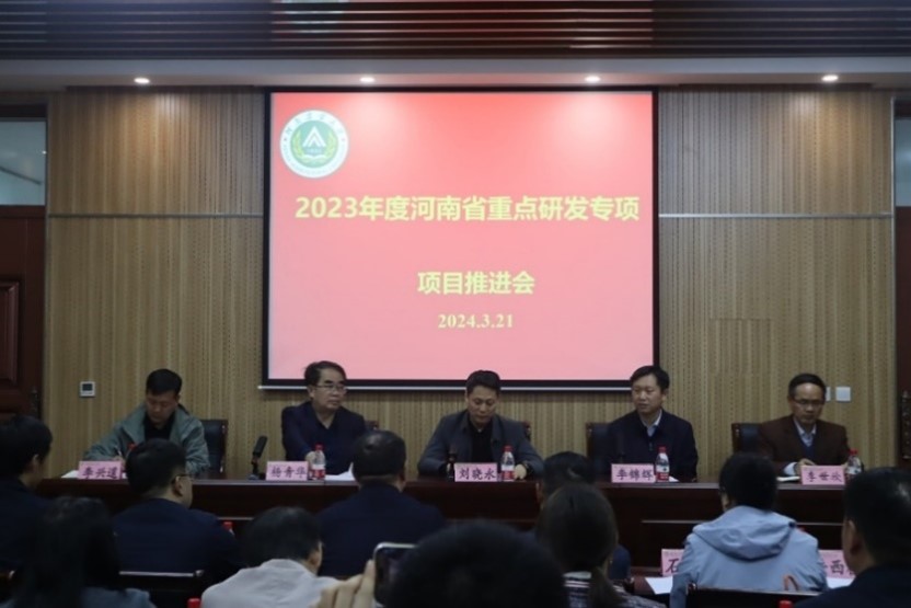 ���ߵ����˿��ֽ�