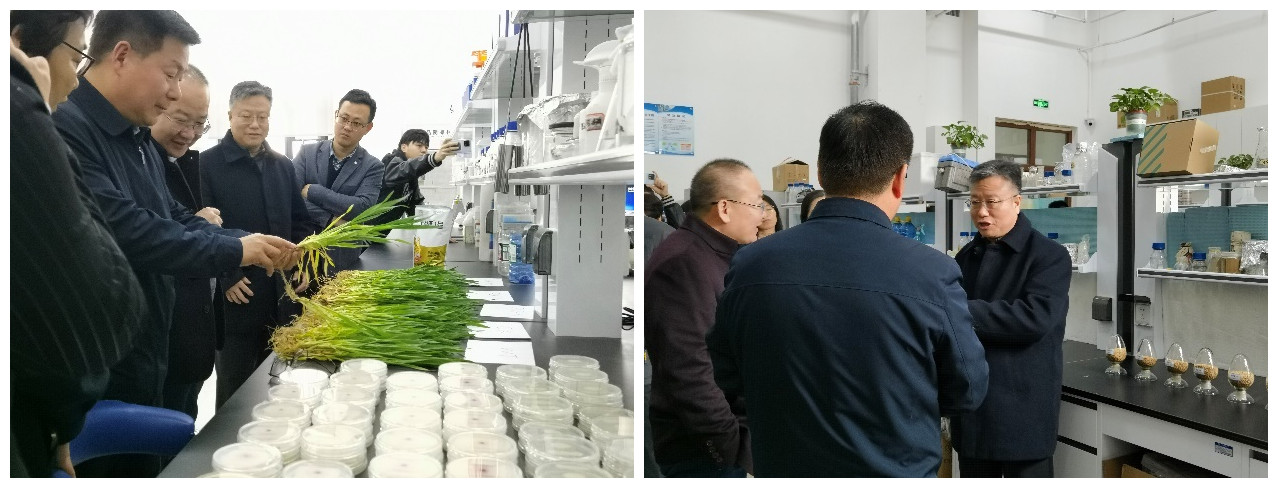 在线德州扑克现金