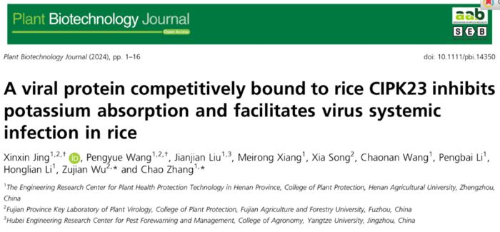 在线德州扑克现金